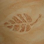 Dom prywatny Suchodół 1.jpg