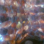 Łukowe Chutor Kozacki Hotel spa sciana-z-soli1.jpg